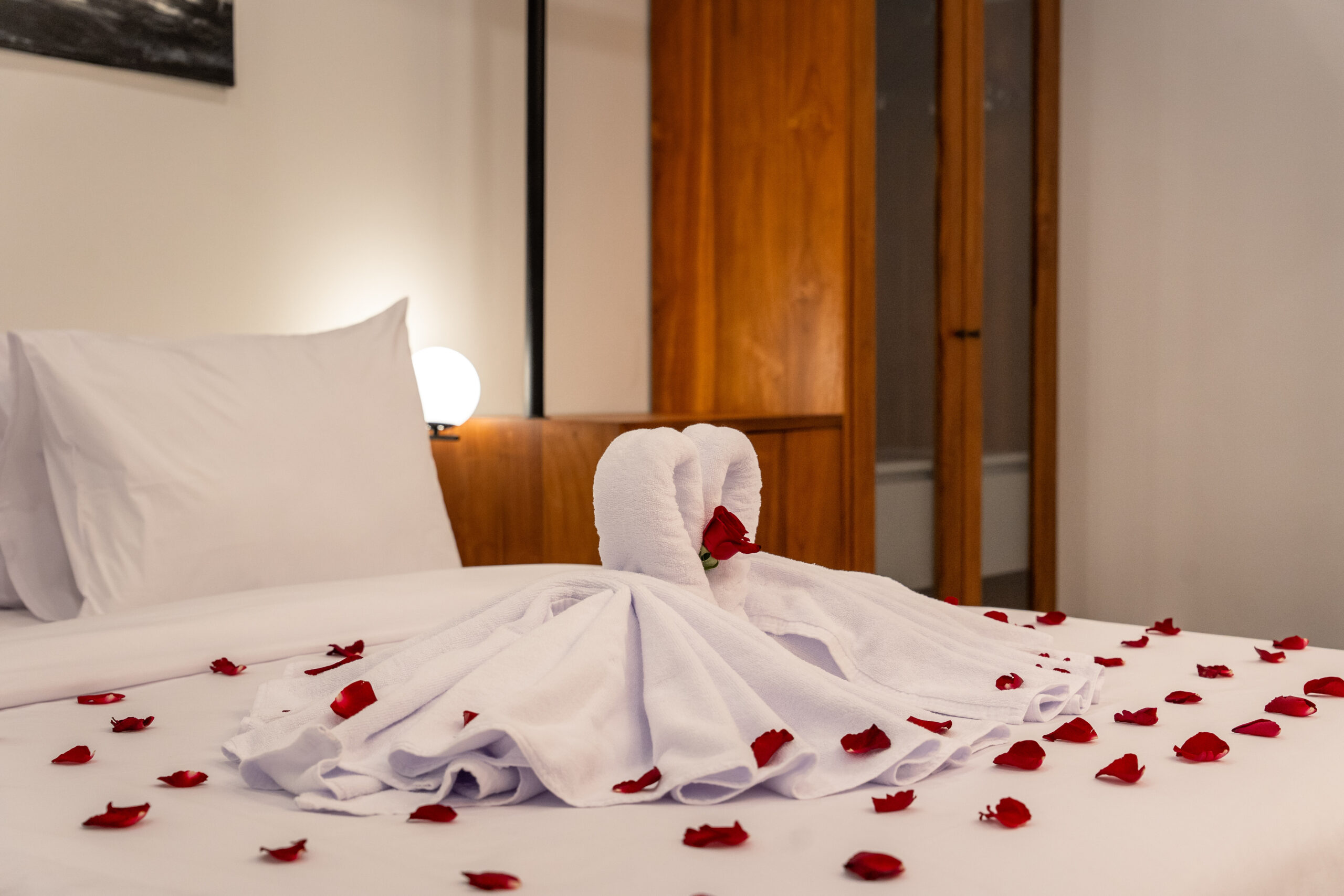 Towel Art
